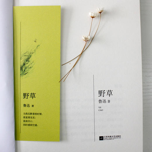(仓发) 野草（鲁迅“独语”式的抒情散文诗，中小学课外阅读）/江苏凤凰文艺出版社/鲁迅/9787559401250 商品图3