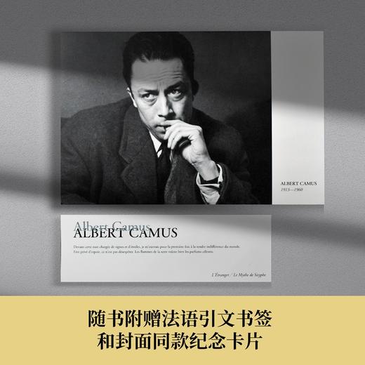 (仓发) 局外人 西绪福斯神话/郭宏安译加缪文集/译林出版社/[法国] 阿尔贝·加缪/9787544784382 商品图5