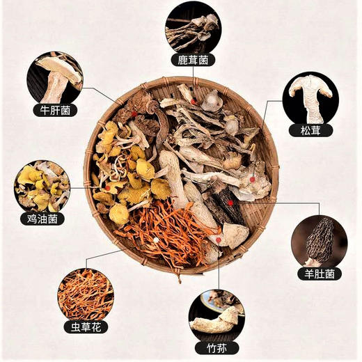 天野园 滇菌荟萃70g 云南食用菌  菌火锅 商品图2