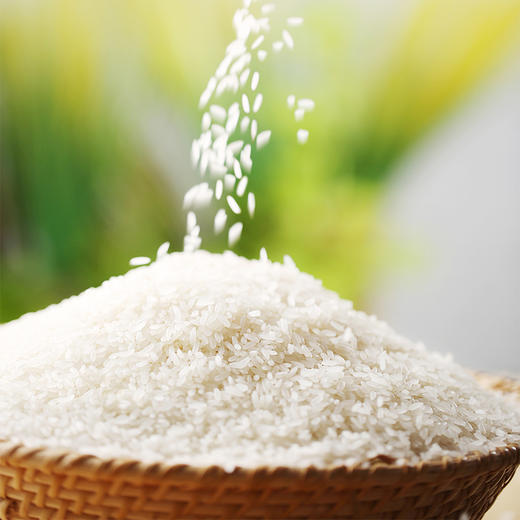 忆食尚 五常大米长粒香 5斤装（2500g） 优质大米 黑土种植大米 商品图1