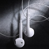 品胜-半入耳式立体声Type-C有线耳机CP01/CP03语音游戏音乐有线耳机 商品缩略图4