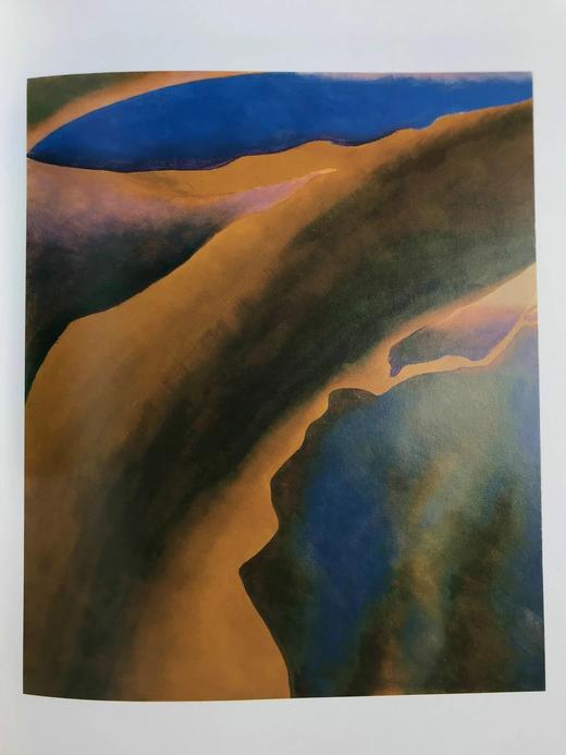 乔治娅·奥·吉弗画集 111幅插图（54幅彩色） 精装大16开 商品图6