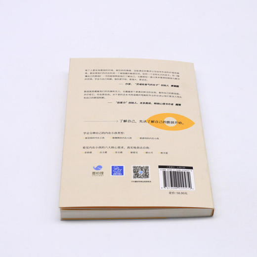 看懂自己的脆弱 商品图3