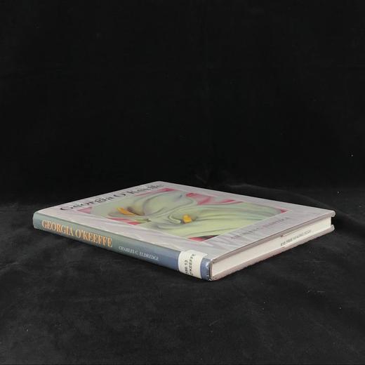 乔治娅·奥·吉弗画集 111幅插图（54幅彩色） 精装大16开 商品图1