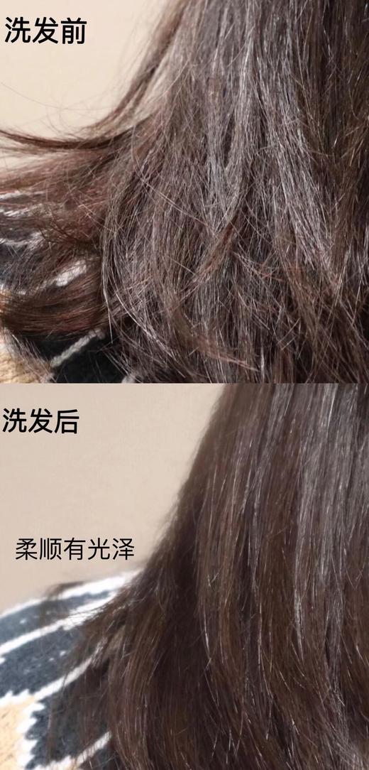 润根源老姜汁首乌灵芝洗发水375ml去屑止痒护发素养发护发柔顺发丝 商品图11