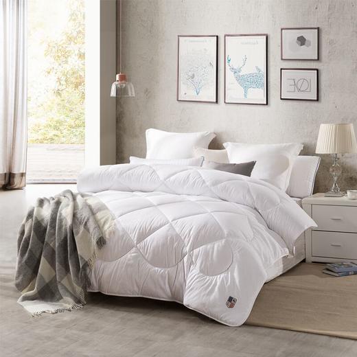 LOVO（罗莱旗下出品） 活力贵族冬被200*230cm 商品图3