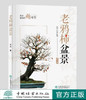 老鸦柿盆景 商品缩略图0