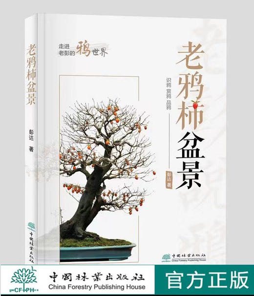 老鸦柿盆景 商品图0