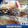 【干货】古法淡晒 野生墨鱼干 250g/5-6只 商品缩略图0