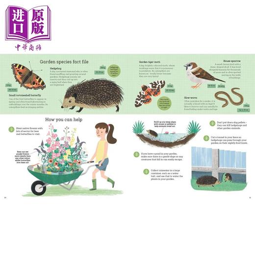 如何帮助刺猬和保护北极熊 How to Help a Hedgehog and Protect a Polar Bear 英文原版 儿童绘本 动物图画书 商品图2