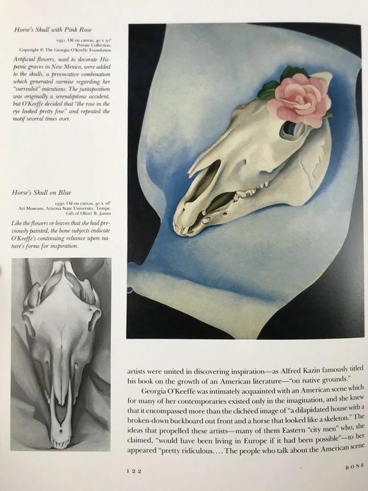 乔治娅·奥·吉弗画集 111幅插图（54幅彩色） 精装大16开 商品图10