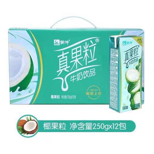 蒙牛真果粒包装250ml 椰果粒 商品图3