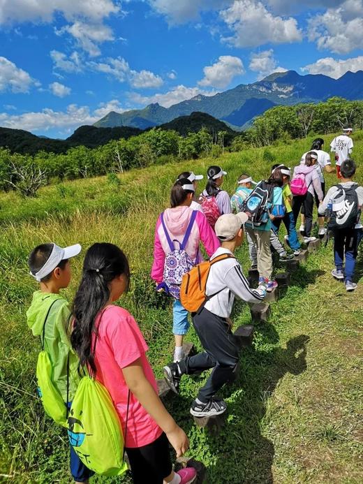 25【暑假亲子】12年口碑精品:神农架野趣科考\船游三峡\轻奢露营\原始森林\地质探究\金丝猴| 7-15岁亲子 商品图4