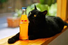  冰峰故事（第7篇）| 在新世纪第一个十年里，冰峰砥砺奋进，奏响发展新乐章 