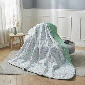 LOVO（罗莱旗下出品） 春晓奕奕夏被150*200cm