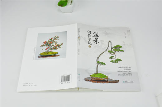 盆景创作笔记1 赵庆泉 0209 盆景大师联袂打造 28件优秀作品精心解读 盆景艺术作品欣赏 中国林业出版社 畅销书 商品图4