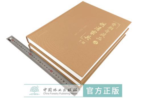 费朝奇藏品之明清家具 上下册 0072 费朝奇费晓璐 椅凳类桌案几类床榻类柜架类中堂牌匾类其他 明清家具鉴赏收藏书 中国林业出版社 商品图3