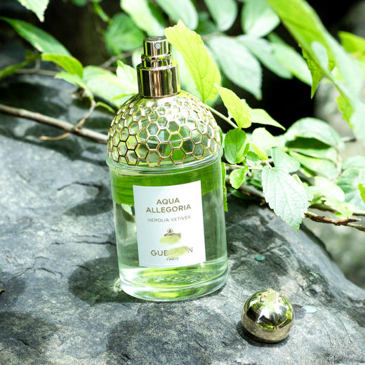 【花草水语系列】橙花岩兰  Nerolia Vetiver 分装 商品图3