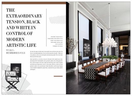 后现代美学设计 国*创新居住空间赏析 9457 室内空间装饰装修装潢设计案例参考书 中国林业出版社 畅销书 商品图3