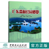 广东森林公园概览 9665 虞依娜 中国林业出版社 畅销书 商品缩略图0