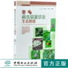 枣病虫草害诊治生态图谱 0221 冯玉增 张艳霞 王留超 枣病害虫害诊断与防治 果园主要杂草识别与防治 工具书 中国林业出版社畅销书 商品缩略图0