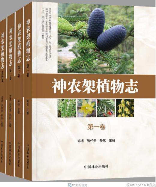 神农架植物志第四卷9018湖北神农架植物资源多样性生态分布分类种类品种大全研究书籍中国林业出版社官方旗舰店正版畅销书 商品图4