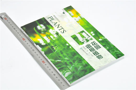 花园宿根植物 9808 常用宿根植物种类介绍 花卉培育栽培繁殖宿根与球根植物搭配病虫害防治 容器花园私家庭院花园花艺景观 畅销书 商品图1