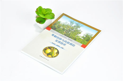 枣树良种与高效栽培实用技术 9878 张志善 高海平 农业科技 中国林业出版社 商品图2