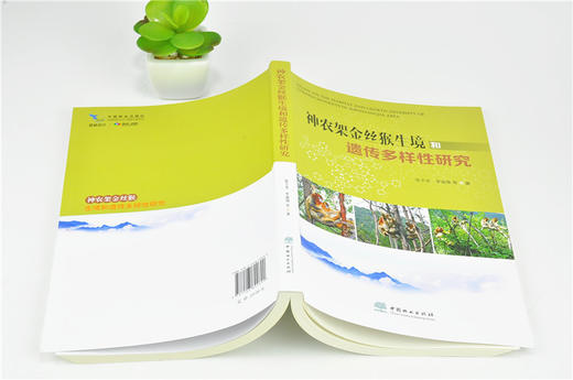 神农架金丝猴生境和遗传多样性研究 9969 自然植被分布 繁育群体的建立与保护 科普读物 中国林业出版社 商品图4
