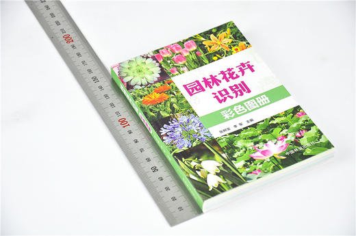 套装 花卉宝典+园林花卉识别彩色图册 2本一套 8746/7106 形态习性繁殖病虫害管护应用产地分布花卉基础知识书 中国林业出版社 商品图3