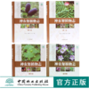 套装 神农架植物志 1 2 3 4 卷 4本一套 湖北神农架植物资源多样性生态分布分类种类品种大全研究书籍 中国林业出版社 畅销书 商品缩略图0