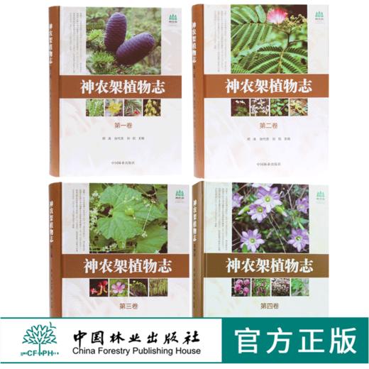 套装 神农架植物志 1 2 3 4 卷 4本一套 湖北神农架植物资源多样性生态分布分类种类品种大全研究书籍 中国林业出版社 畅销书 商品图0