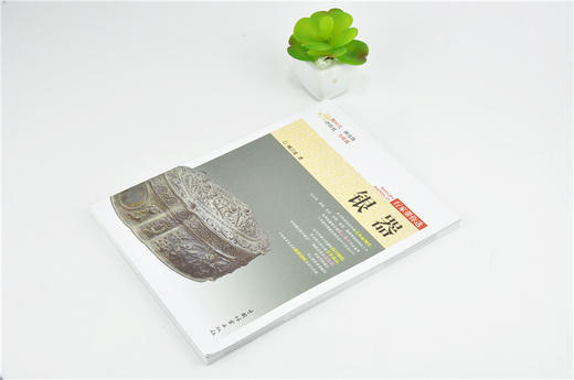 银器 9975 姚江波 行家带你选 断时代 辨真伪 评价值 为收藏 中国林业出版社 正版畅销书 商品图2