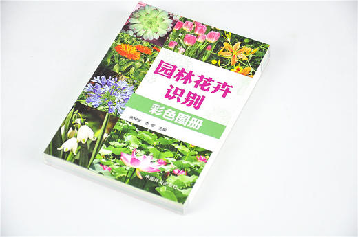 套装 花卉宝典+园林花卉识别彩色图册 2本一套 8746/7106 形态习性繁殖病虫害管护应用产地分布花卉基础知识书 中国林业出版社 商品图4