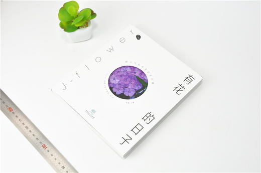 有花的日子 超人气日式花艺设计课 0008 陈暖 花园时光 伴暖文化 剪红载绿花艺设计别样捧花四季花配基本技法中国林业出版社畅销书 商品图2