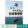 温州海岛植物 上 中国林业出版社官方直营 畅销书7889 商品缩略图0