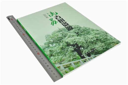 山东省流苏古树资源 李际红 9604 古树名木分级及健康评价 生物学特性分析 中国林业出版社 畅销书籍 商品图1