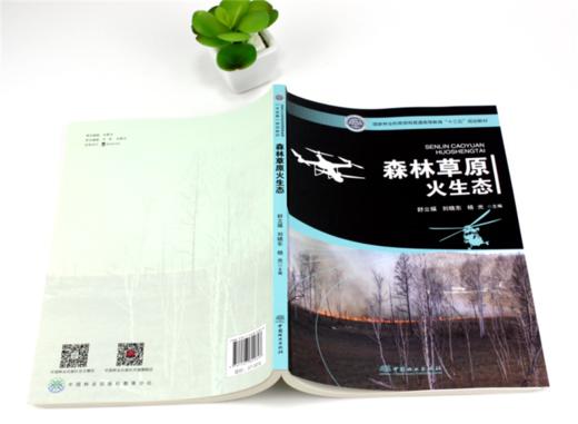森林草原火生态 9989 舒立福 刘晓东 杨光 主编 国家林业和草原局普通高等教育十三五规划教材 中国林业出版社 商品图4