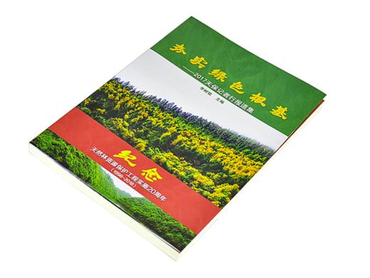劣实绿色根基 2017天保记者行报道集 李树铭 9544 纪念天然林资源保护工程实施20周年1998-2018 中国林业出版社官方旗舰店  畅销书 商品图2