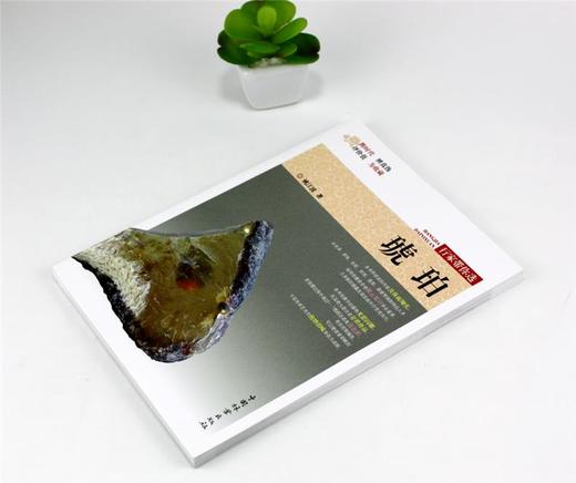 琥珀 行家带你选 9980 姚江波 段时代 辨真伪 评价值 为收藏 中国林业出版社 正版畅销书 商品图2