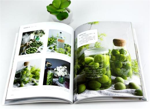 花园美食沙龙 0115 花园时光 甜点糕点 果酒果饮 香草烹饪 花果酱 甜品制作过程 美食书 花园派对 中国林业出版社 畅销书 商品图3