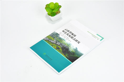 云南省城镇绿色发展模式研究 9919 绿色经济与绿色发展经典系列丛书 中国林业出版社 正版畅销书 商品图2