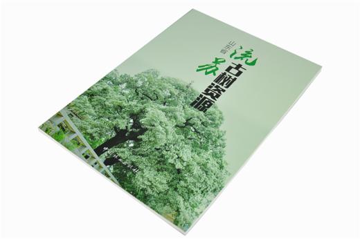 山东省流苏古树资源 李际红 9604 古树名木分级及健康评价 生物学特性分析 中国林业出版社 畅销书籍 商品图2