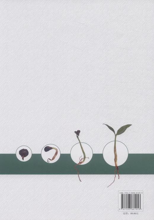 湖南主要乡土树种及种苗彩色图鉴 中国林业8105  科技 商品图2