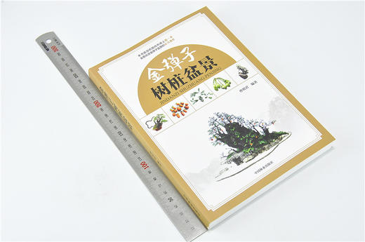 正版包邮金弹子树桩盆景 曹明君 9232 全面论述金弹子的实力著作理论创作栽培育桩根育技术 盆景书籍 中国林业出版社 商品图1