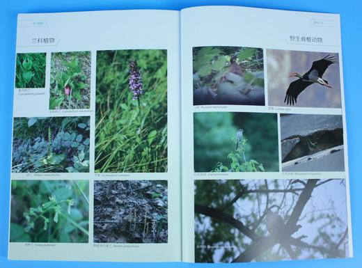 河北大海陀国家*自然保护区综合科学考察报告 9169 中国林业出版社 商品图4