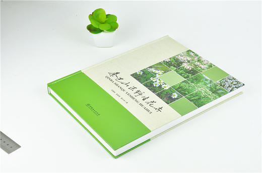 秦巴山区野生花卉 9973 刘青林 吴振海 曾小冬 著 中国林业出版社 商品图2