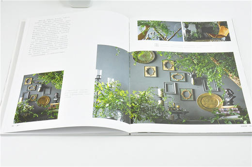 套装 花艺目客 春 夏 秋 冬 夏花成妍 5本一套 花道婚礼花艺 商业花礼装饰色彩搭配干燥桌花漂浮花艺装饰手捧花压花插花花艺设计书 商品图4