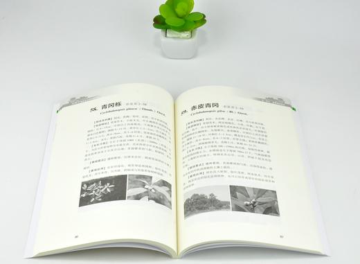岳阳市森林生态博览园植物 0265 潘新军 杨广军 保护野生植物 特色植物 中国林业出版社 商品图3