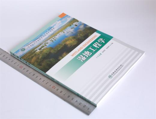 湿地工程学 张明祥 张振明主编0347国家林业和草原局普通高等教育十三五规划教材 全国自然资源保护与管理系列教材 中国林业出版社 商品图1